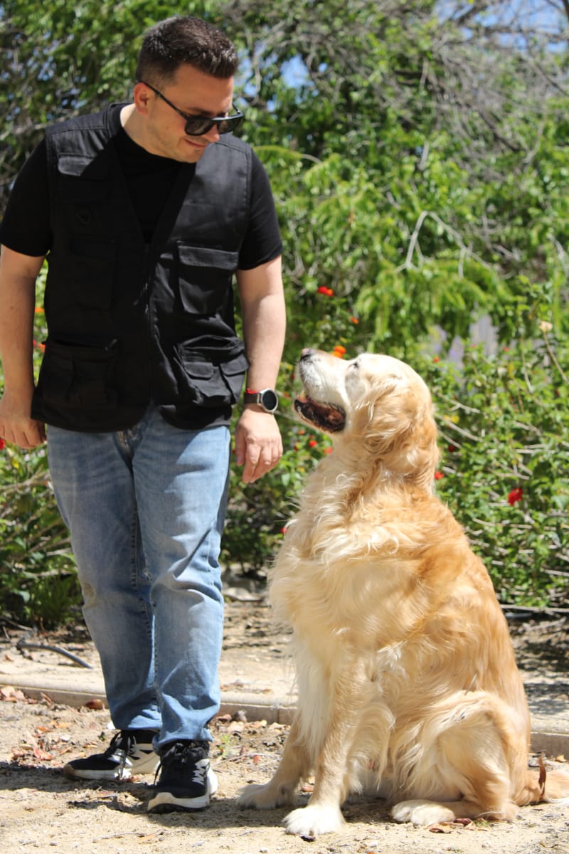 Adiestrador de Perros en Alicante y Elche